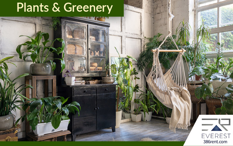 Plants & Greenery for the home